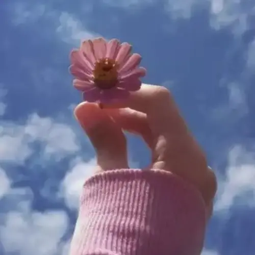 app.blizmatt-services-reviews-04